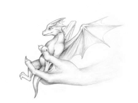 Рисунки драконов для срисовки