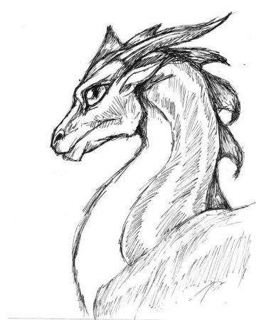 Дракон для срисовки