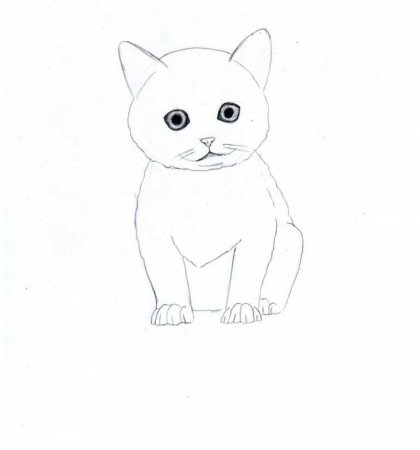 Котята карандашом для начинающих