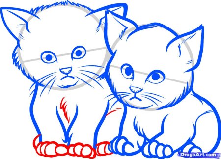 Рисунок котика для срисовки для детей