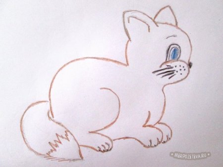 Как рисовать котенка