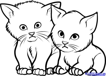 Рисунок кошки для срисовки легкие
