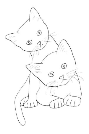 Кошка для срисовки легкая