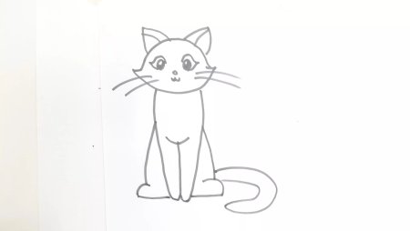 Рисунки для срисовки котики