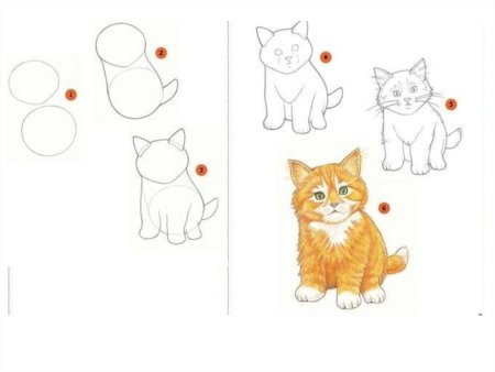 Милые котики рисунки