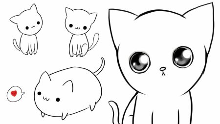 Рисование морды кота
