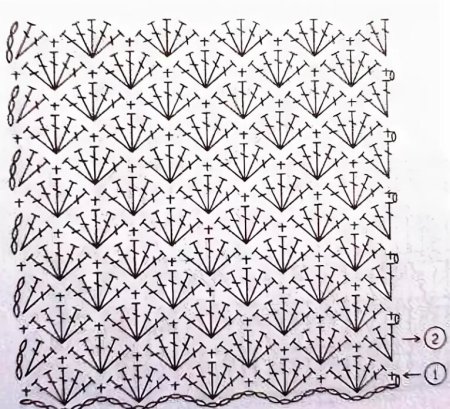 Узор крючком ракушки веерочки