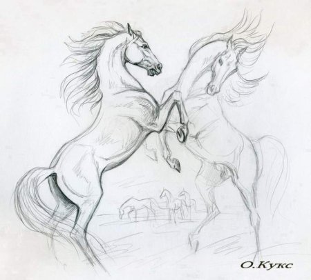 Красивые рисунки лошадей карандашом