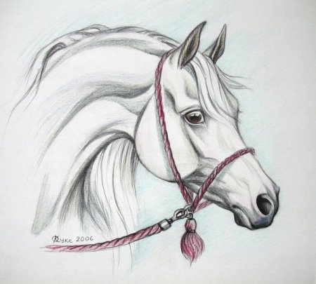 Лошадь рисунок карандашом
