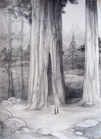 Нарисовать лес карандашом