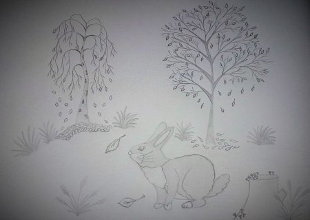 Рисунок леса для детей