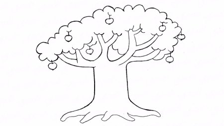 Дерево рисунок карандашом