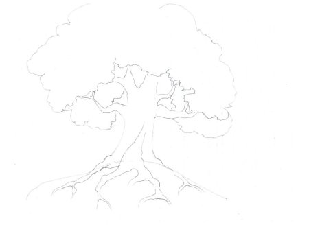 Дерево с корнями раскраска