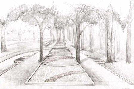 Рисунок парка