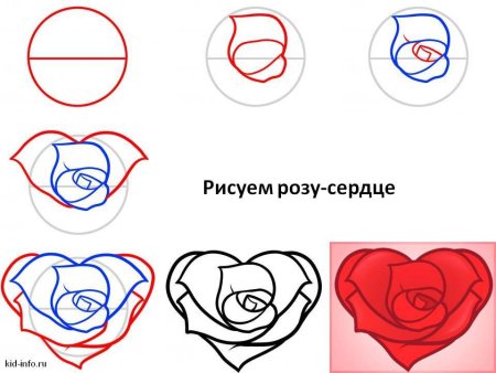 Поэтапное рисование цветов