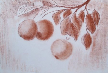 Рисунки сангиной