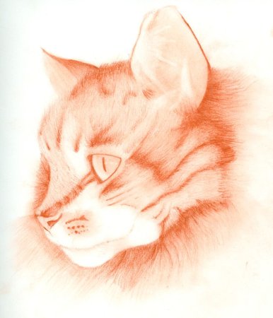 Рисунки сангиной для детей