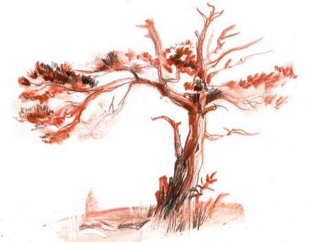 Сангина для рисования натюрморт