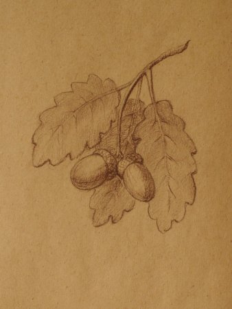 Лошадь сангиной