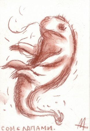 Графика сангина