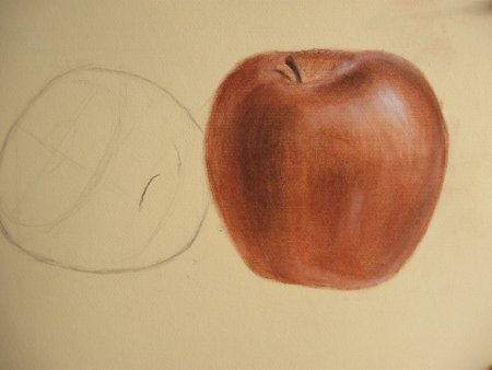 Зарисовки животных мягким материалом