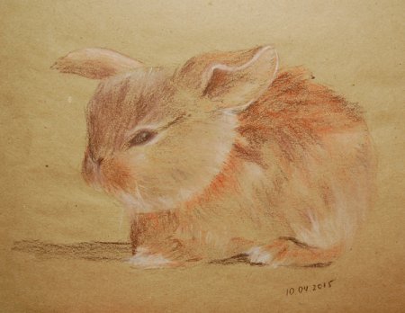 Натюрморт сангиной