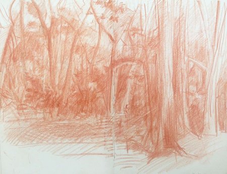 Натюрморт сангина 6 класс