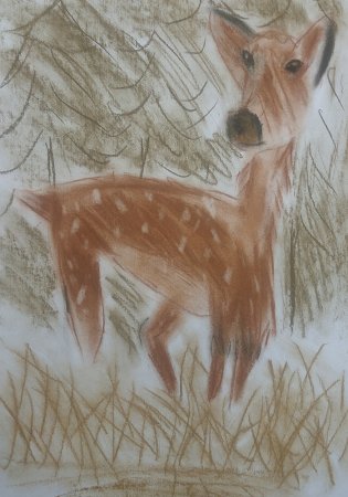 Натюрморт сангиной и углем