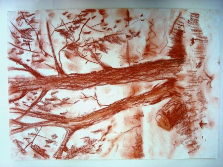 Жеребенок Шолохов иллюстрации