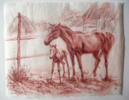 Рисование белка сангиной