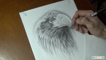 Рисунки для аэрографии для начинающих