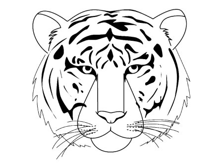 Тигр рисунок