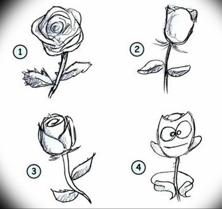 Поэтапное рисование розы