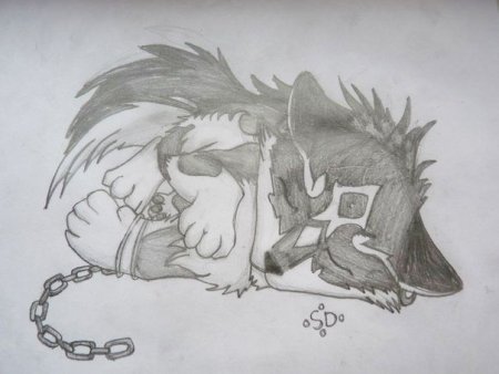 Аниме животные рисунки карандашом