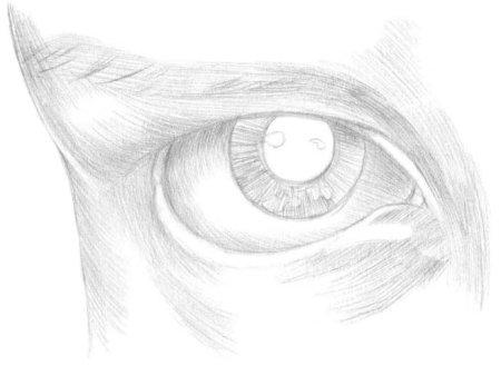 Глаз человека рисунок