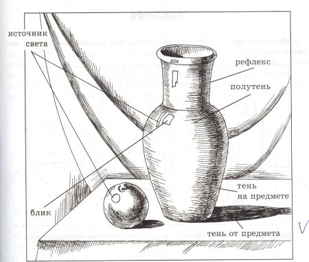 Этапы рисования натюрморта