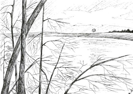 Поэтапный рисунок пейзажа карандашом