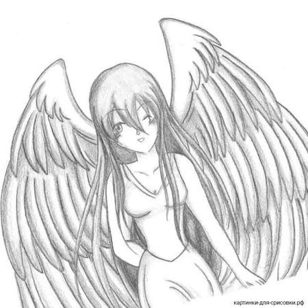 Аниме ангел карандашом