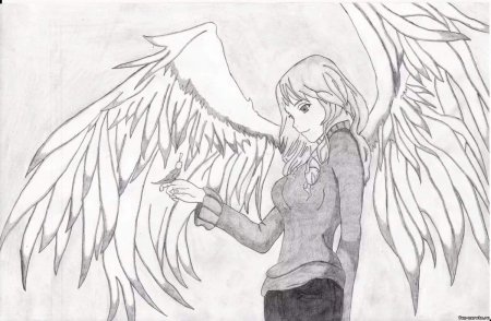 Ангел карандашом