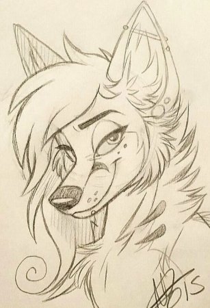 WILDSPIRITWOLF волки