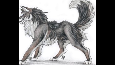 Лёгкие рисунки для срисовкиволки