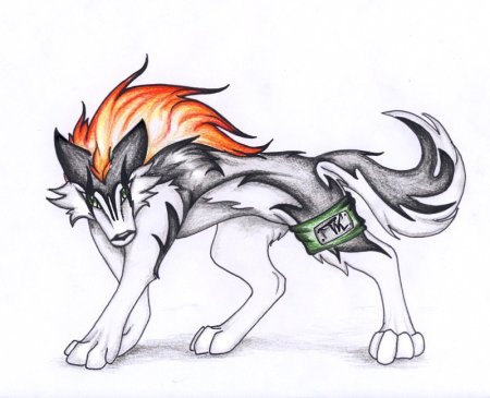 Раскраски аниме животные волки