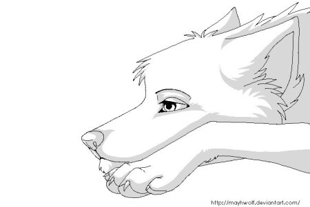 Рисунок волка карандашом для срисовки