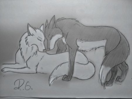 Картинки Волков для срисовки