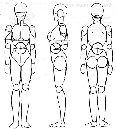 Тело девушки референс пропорции