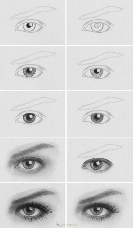 Уроки рисования для начинающих глаза