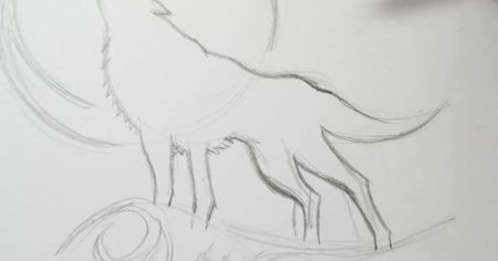 Легкие рисунки Волков для срисовки