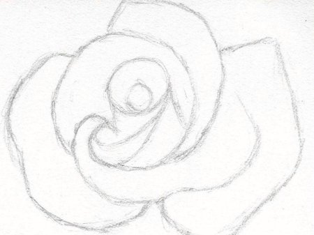 Роза рисунок карандашом для срисовки для начинающих