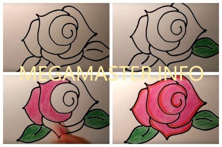 Легкие и красивые розы