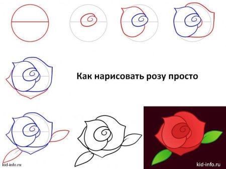 Как нарисовать розу поэтапно